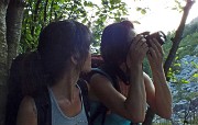93 da fotografare !